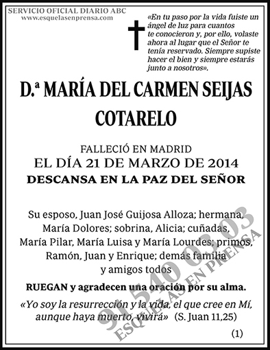 María del Carmen Seijas Cotarelo